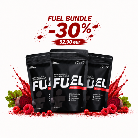 Fuel Bundle