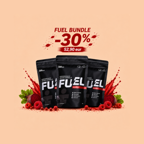 Fuel Bundle